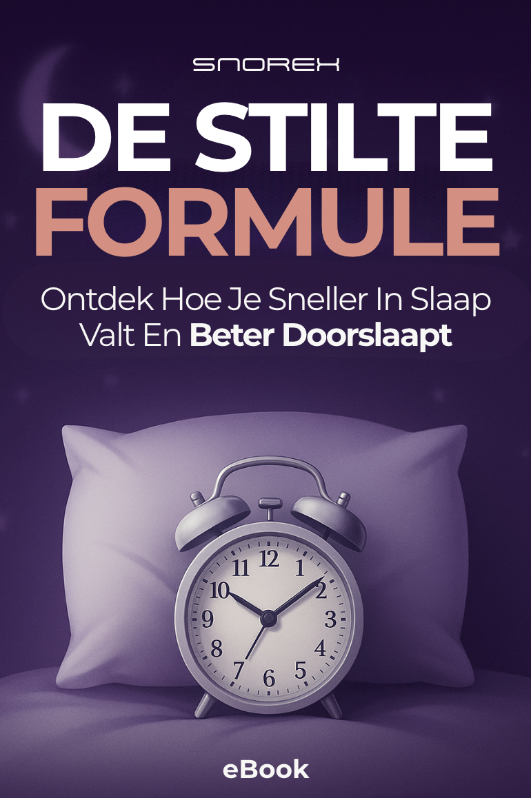 eBook-De Stilte Formule